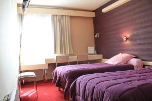 Hotels Le France : Chambre Lits Jumeaux