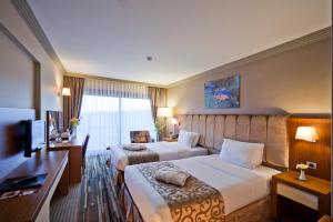 Superior Double or Twin Room with City View room in Volley Hotel Istanbul