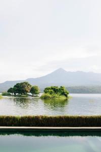 Isleta El Espino Ecolodge
