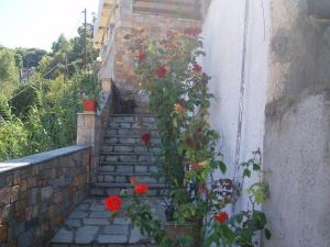 Haravgi Hotel Alonissos Greece