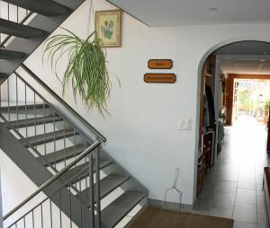 Hotel Koi-Gartenteich