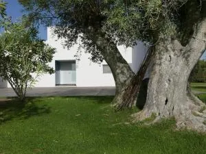 Casa do Vale da Terra Negra - 阿尔维图