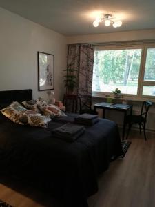 Arctic Home, in the city centre, free parking