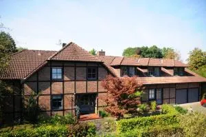 Aaltine 3 - Auf dem Mersch