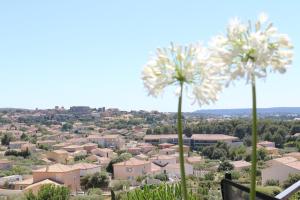 Maisons de vacances Belle villa en Provence : photos des chambres