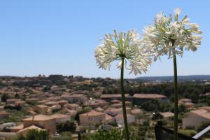 Maisons de vacances Belle villa en Provence : photos des chambres