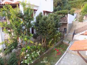 Ecosvilla Apartments Pelion Greece