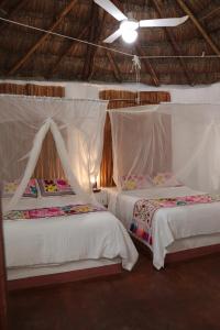 Hotel Zentik Project & Saline Cave