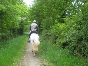 B&B / Chambres d'hotes Relais de Chasse la Chaignaie : photos des chambres