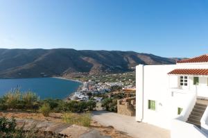 Villa Althea in Andros Andros Greece