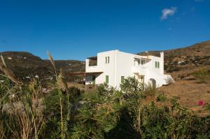 Villa Althea in Andros Andros Greece