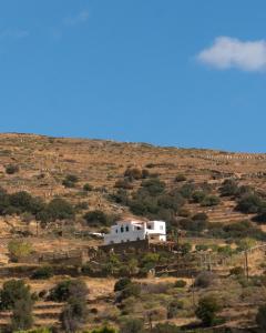 Villa Althea in Andros Andros Greece