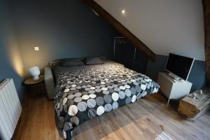 Appartements Guest VIP Annecy Lake : photos des chambres