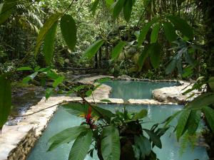Termales del Bosque & Hot Springs
