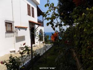 Ecosvilla Apartments Pelion Greece