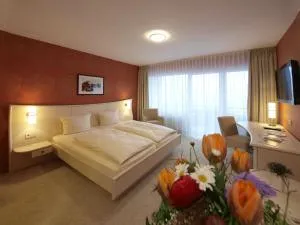 Landhotel Henkenhof Willingen - 弗兰克瑙