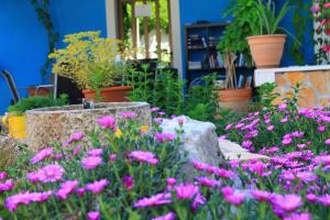 Apartments Yerkovic