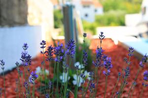 Apartments Yerkovic