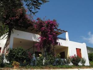 Hotel Heleni Apartments Argolida Greece