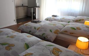 Appartements Studios near Basel Airport : photos des chambres