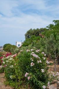 Aenaos Villa Tinos Tinos Greece