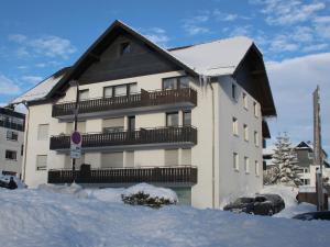 Chic Apartment near Ski Area in Winterberg Germany