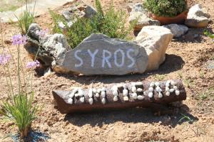 Abela Beach Apartments Syros Greece
