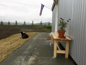 Gamla Húsið - The Old House
