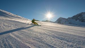 Haus Veidlis, Familie Obkircher