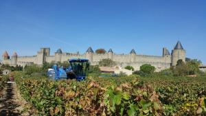 Maisons de vacances Domaine Fontgrande Gite : photos des chambres