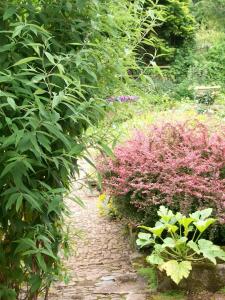 Middletown Farmhouse B&B