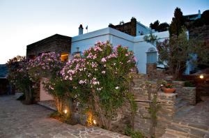 Aenaos Villa Tinos Tinos Greece