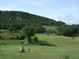 Lodges Studio nature a la ferme : photos des chambres