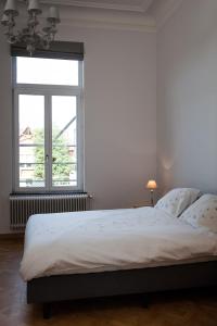 Luxueus vakantiehuis in hartje Ronse met 7 slaapkamers & badkamers