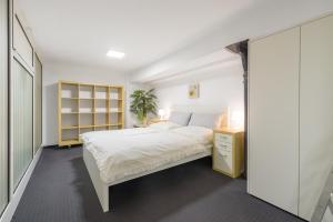 Tržaška Duplex Urban Apartment 