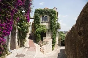 La Miette - Vence