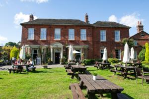 The Hedgehog by Innkeepers Collection