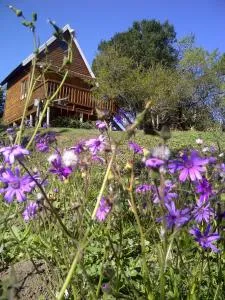 A Stone's Throw Accommodation - Committees Drift