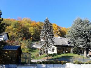 B&B / Chambres d'hotes B&B Ma Maison Hautes Vosges : photos des chambres