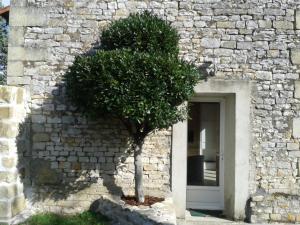 Maisons de vacances La Maison Tumtum Arbre : photos des chambres