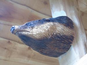 Badgers Wood at Hoo Farm