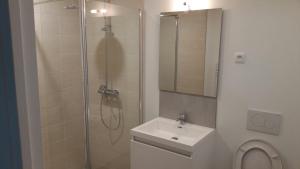 Appartements Le loft de Cathy 1 : photos des chambres