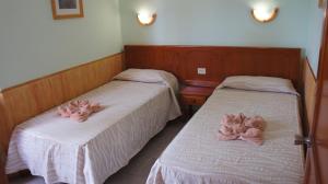 Bungalow (3 Adults) room in Castillo Playa