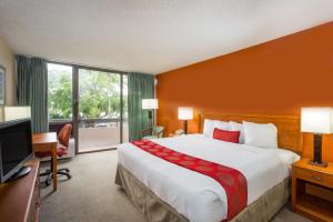 King Room with City View - Non-Smoking room in Ramada by Wyndham West Palm Beach Airport