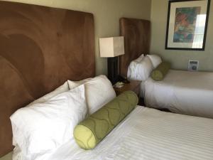 Double Room with Ocean View room in Surfer Beach Hotel