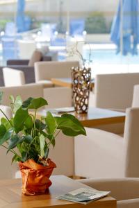 Aegean Dream Hotel Chios-Island Greece