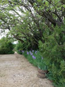 Maisons de vacances Gite contemporain Le Jardin : photos des chambres