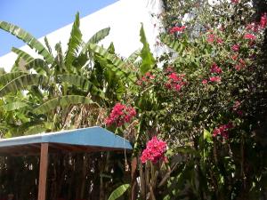 Sea Breeze Hotel Kos Greece