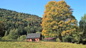 Ferienhaus Kr&oacute;lik&oacute;wka Stronie Śląskie Polen