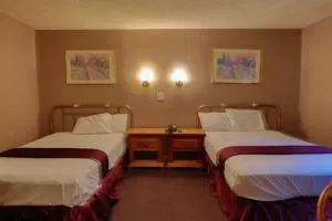 柏林红地毯旅馆 - Lindenwold